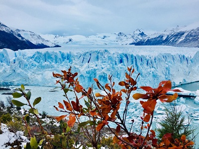 Os 3 Glaciares Mais Famosos de El Calafate - Ushuaia